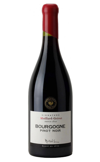 фото вино Moillard Grivot Signature Bourgogne Pinot Noir 2023 0,75 л