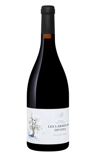 фото вино Amaury Beaufort Les Larmes de Divona Bourgogne Rouge 2015 0,75 л