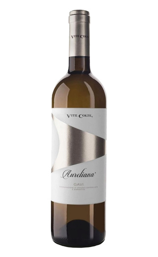 фото вино Terre da Vino Gavi Aureliana 2024 0,75 л