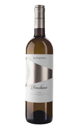 Вино Terre da Vino Gavi Aureliana 2024&nbsp;0,75&nbsp;л