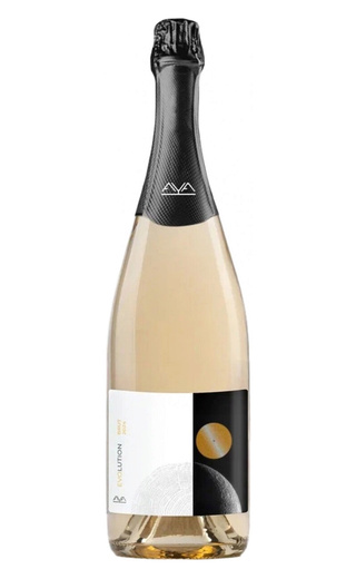 фото вино Aya Organic Evolution Pinot Noir 2024 0,75 л