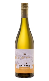 Вино Anterra Chardonnay Terre Siciliane 2025&nbsp;0,75&nbsp;л