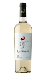 Вино La Ronciere Cantoalba Sauvignon Blanc Colchagua 2023&nbsp;0,75&nbsp;л