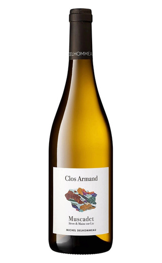 фото вино Michel Delhommeau Clos Armand Muscadet Sevre et Maine sur Lie 2022 0,75 л