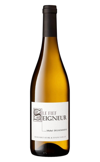 фото вино Michel Delhommeau Le Fief Seigneur Muscadet Sevre et Maine sur Lie 2023 0,75 л