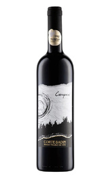 Вино Corte Badin Camponi Rosso Veronese 2021&nbsp;0,75&nbsp;л