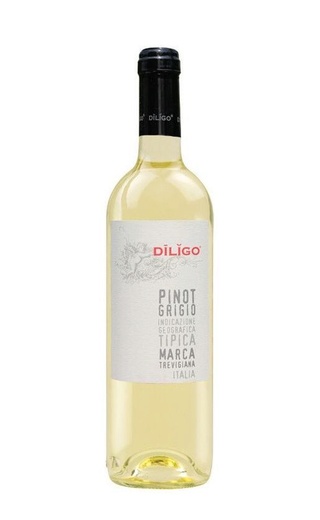 фото вино Anna Spinato Diligo Pinot Grigio 2025 0,75 л