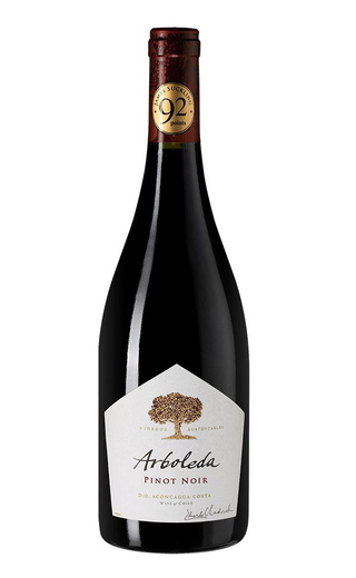 фото вино Vina Arboleda Pinot Noir 2022 0,75 л