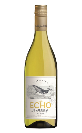 фото вино Luis Felipe Edwards Echo Andes Chardonnay 2024 0,75 л