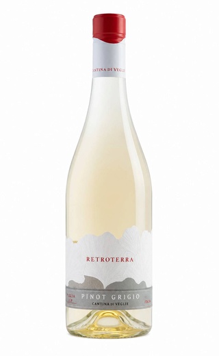 фото вино Poggio Le Volpi Retroterra Pinot Grigio 2025 0,75 л