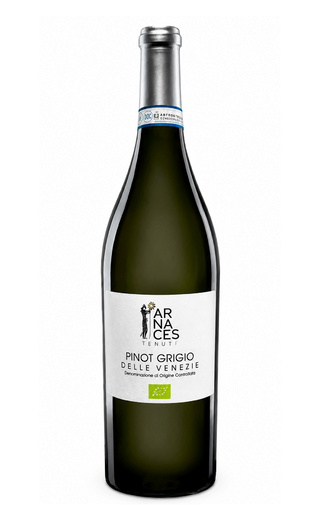 фото вино Campagnola Tenute Arnaces Campo dei Gelsi Pinot Grigio BIO 2025 0,75 л