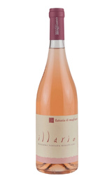 Вино Fattoria di Magliano Illario Maremma 2022&nbsp;0,75&nbsp;л