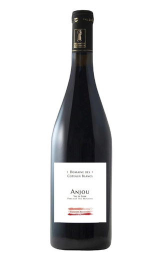 фото вино Domaine de Coteaux Blancs Parcelle des Moulins Anjou Rouge 2023 0,75 л