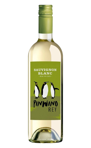 фото вино Aresti PinWino Rey Sauvignon Blanc 2026 0,75 л