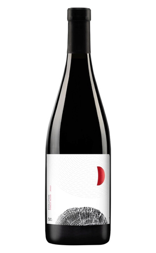 фото вино Aya Organic Evolution Pinot Noir 2024 0,75 л