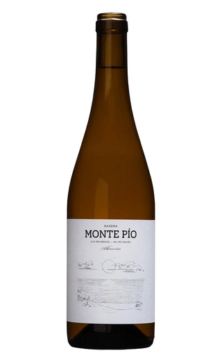 фото вино Monte Pio Raxeira Albarino 2022 0,75 л