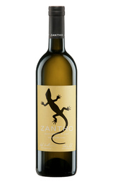 Вино Zantho Sauvignon Blanc 2025&nbsp;0,75&nbsp;л