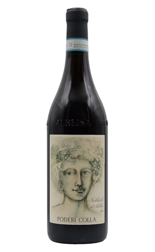 фото вино Poderi Colla Drago Nebbiolo d'Alba 2023 0,75 л