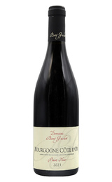 Вино Domaine Bony Gachot Bourgogne Cote D’Or Pinot Noir 2023&nbsp;0,75&nbsp;л