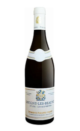 Вино Domaine Philippe Girard Savigny les Beaune Premier Cru Les Rouvrettes 2024&nbsp;0,75&nbsp;л