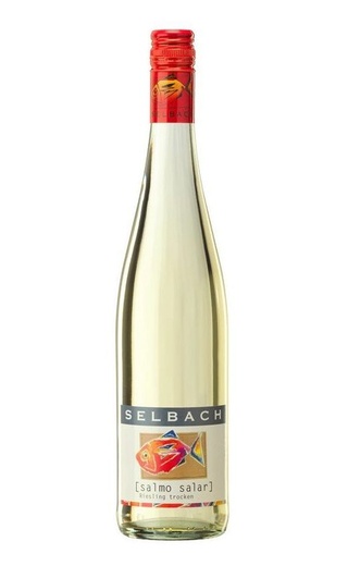 фото вино Selbach Riesling Salmo Salar 2024 0,75 л