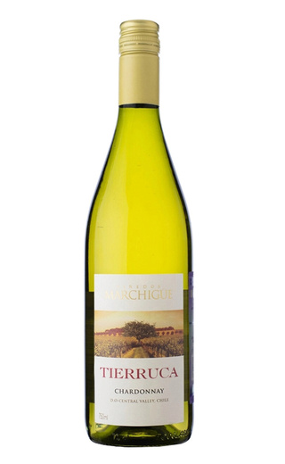 фото вино Tierruca Chardonnay 2025 0,75 л