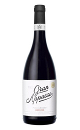 Вино Gran Appasso Rosso Passito 2022&nbsp;0,75&nbsp;л
