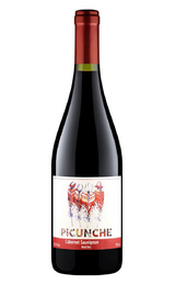 Вино Picunche Cabernet Sauvignon 2023&nbsp;0,75&nbsp;л