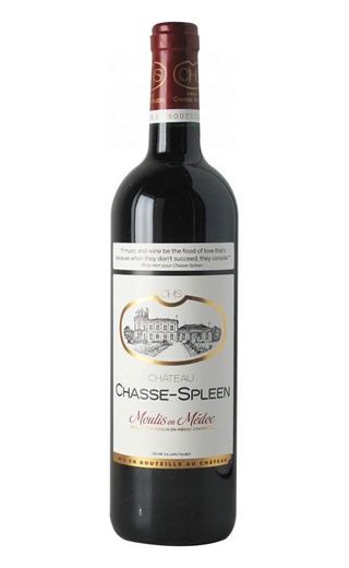 фото вино Chateau Chasse-Spleen 2021 0,75 л