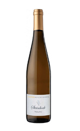 Вино Weingut Dr. Fischer Steinbock Riesling 2025&nbsp;0,75&nbsp;л