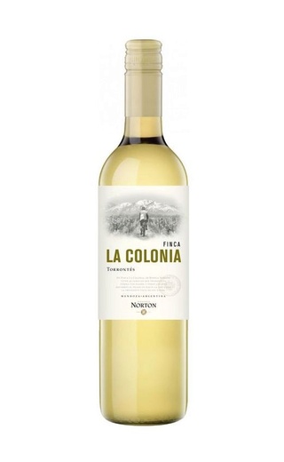фото вино Finca La Colonia Torrontes 2025 0,75 л