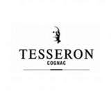 Тессерон логотип Tesseron