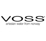 ВОСС логотип VOSS